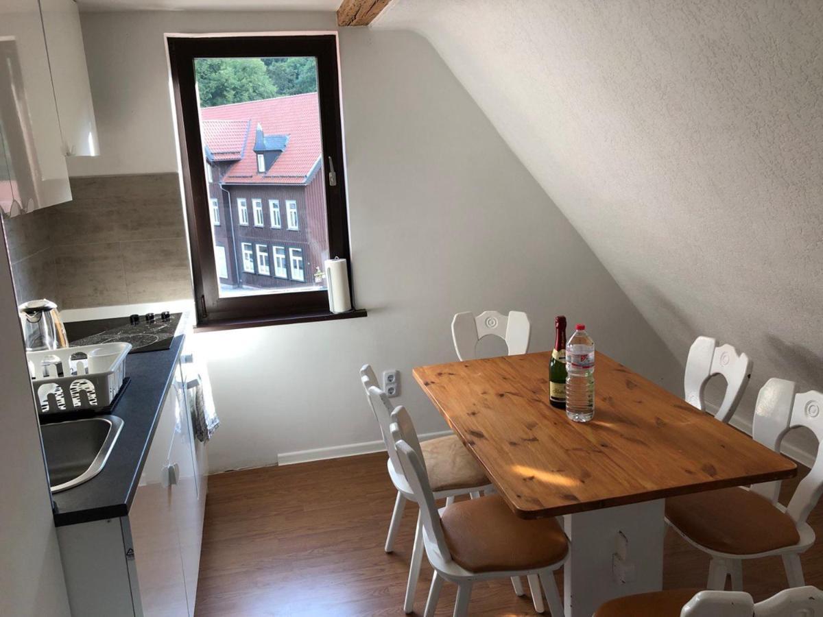 Ferienhaus Art Apartment - Harz Zorge Екстериор снимка