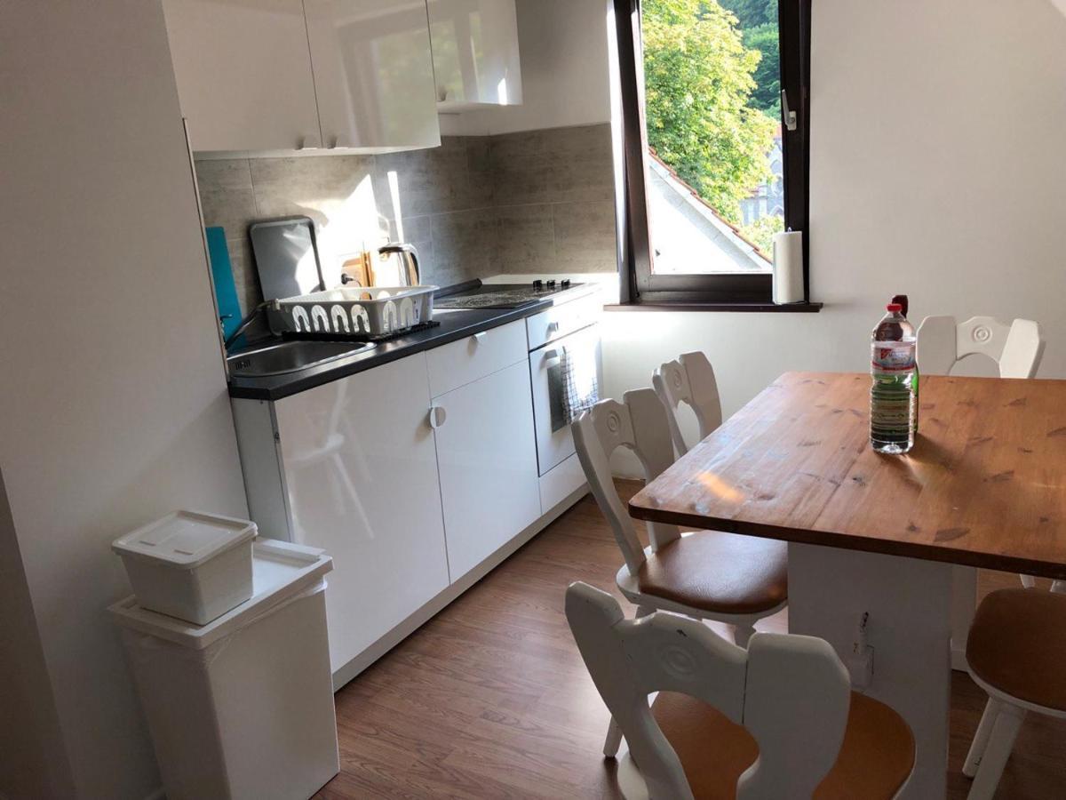 Ferienhaus Art Apartment - Harz Zorge Екстериор снимка