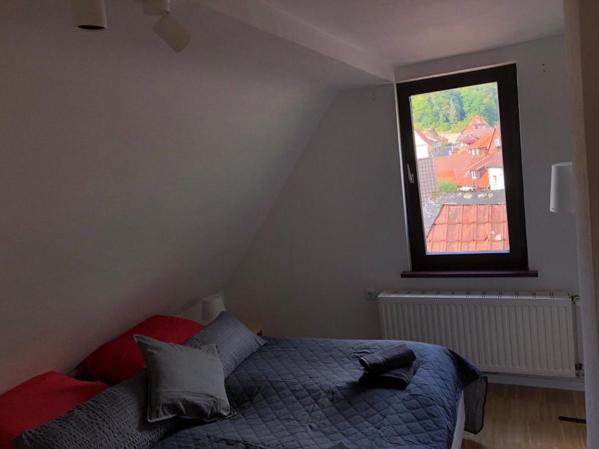 Ferienhaus Art Apartment - Harz Zorge Екстериор снимка