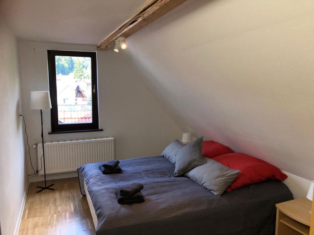Ferienhaus Art Apartment - Harz Zorge Екстериор снимка
