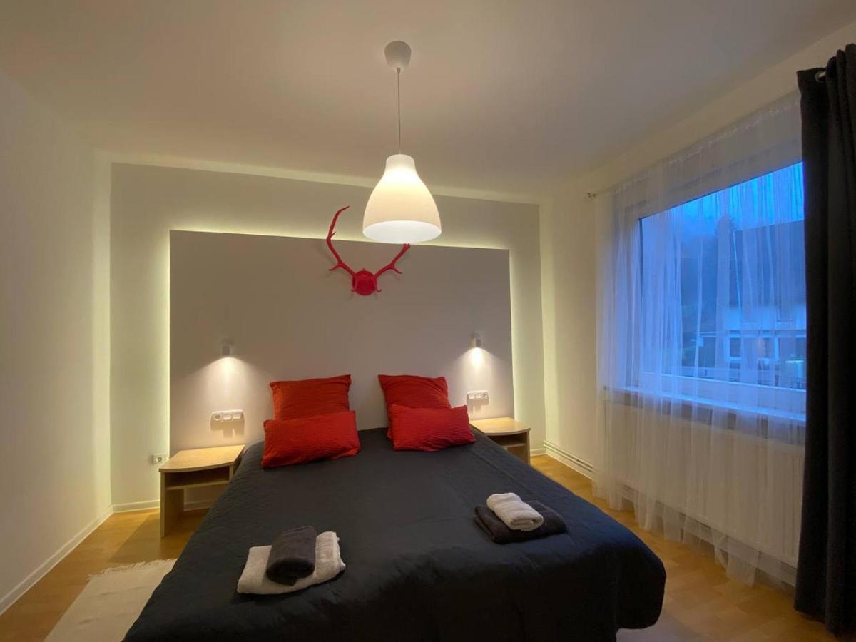 Ferienhaus Art Apartment - Harz Zorge Екстериор снимка