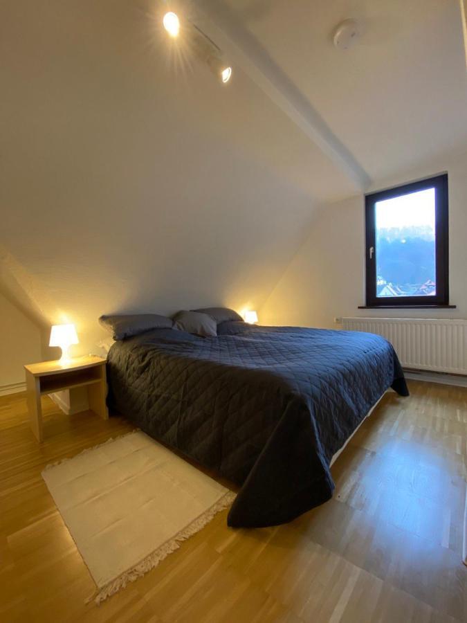 Ferienhaus Art Apartment - Harz Zorge Екстериор снимка