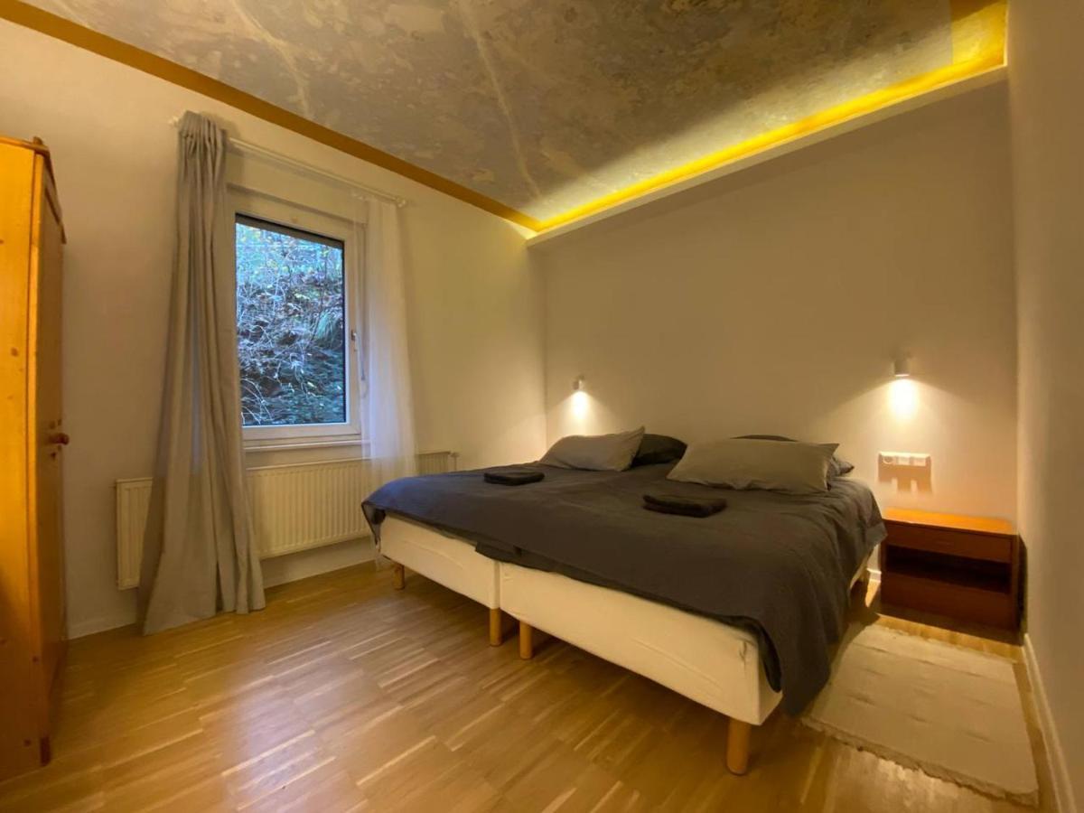 Ferienhaus Art Apartment - Harz Zorge Екстериор снимка