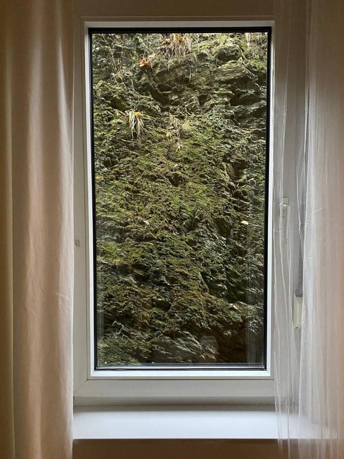 Ferienhaus Art Apartment - Harz Zorge Екстериор снимка